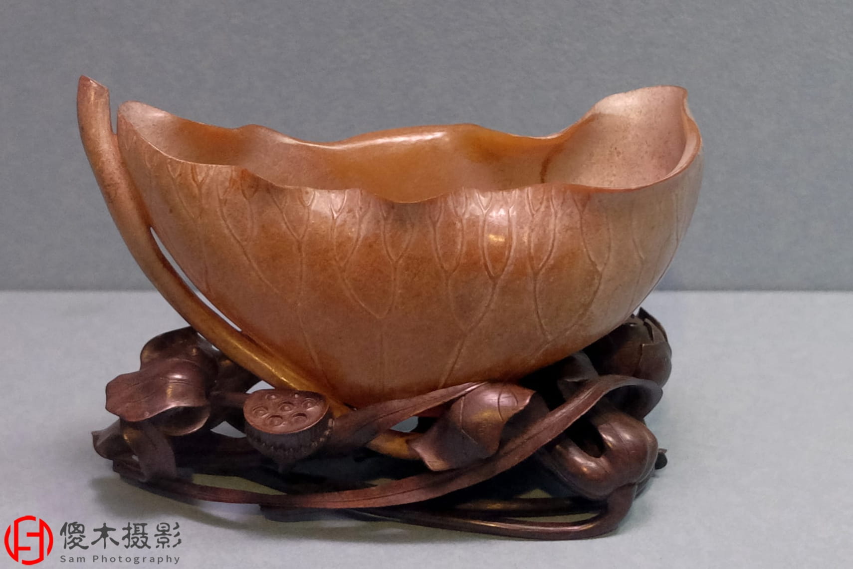 DSCF1445.jpg