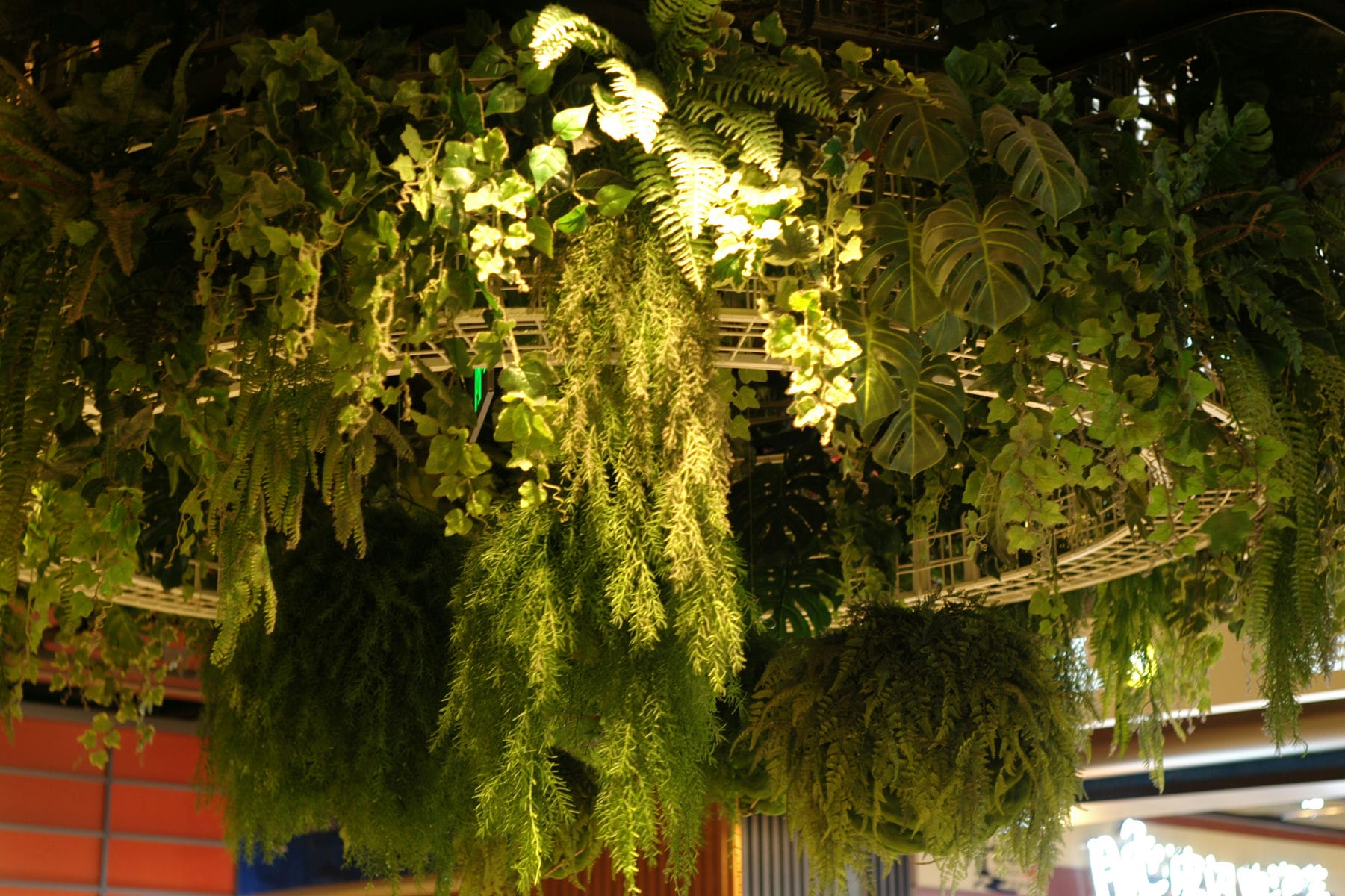EPSN3495.jpg