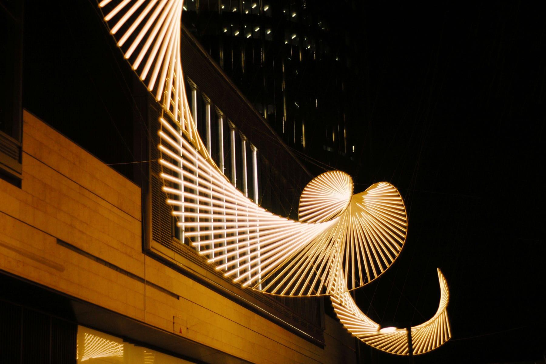 EPSN3741.jpg