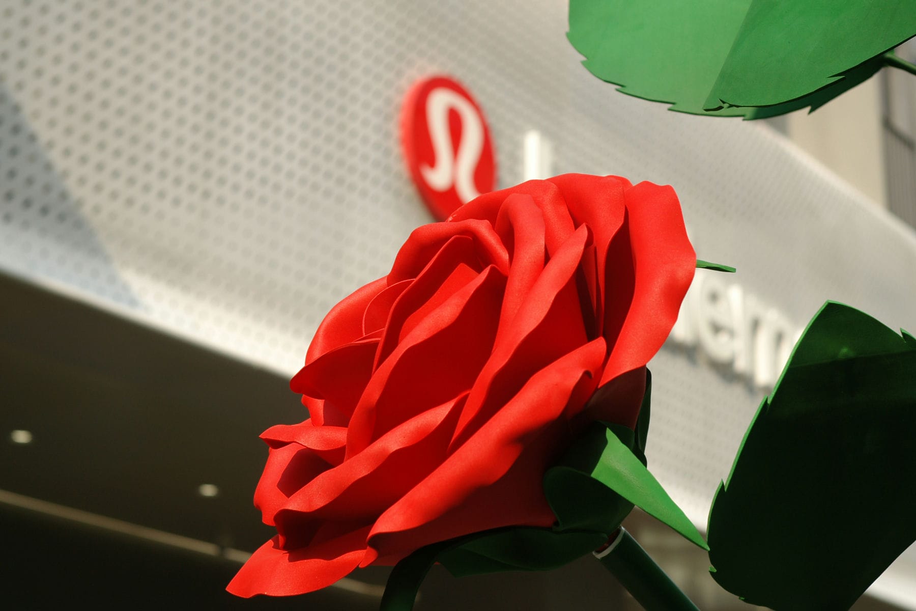 EPSN3569.jpg