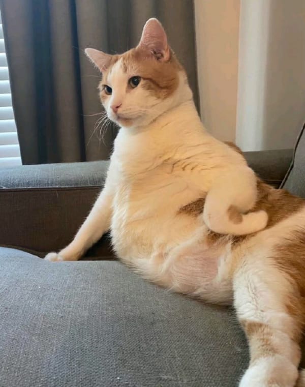 叉腰.jpg