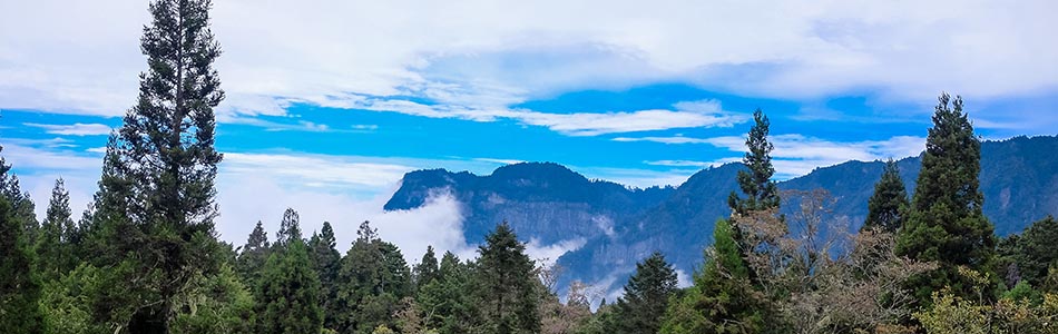 台湾-景（阿里山，101，故宫，日月潭）