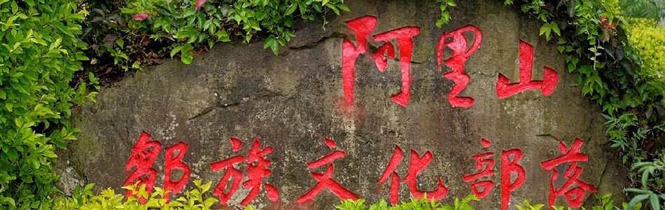 台湾-阿里山静物