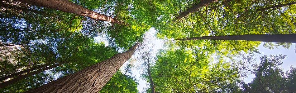 2022-04-10-洪湖公园一日游