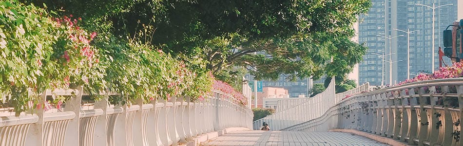 2023_01_18_西丽扫街