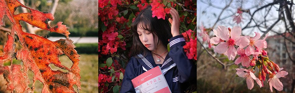 华英路景观公园