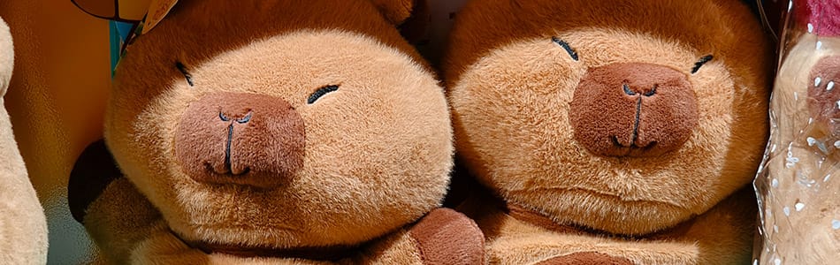 2025-04-05 梅拉尼亚小镇