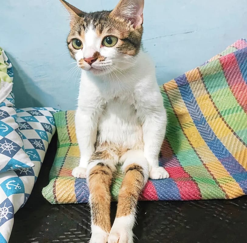 别人离职的原因