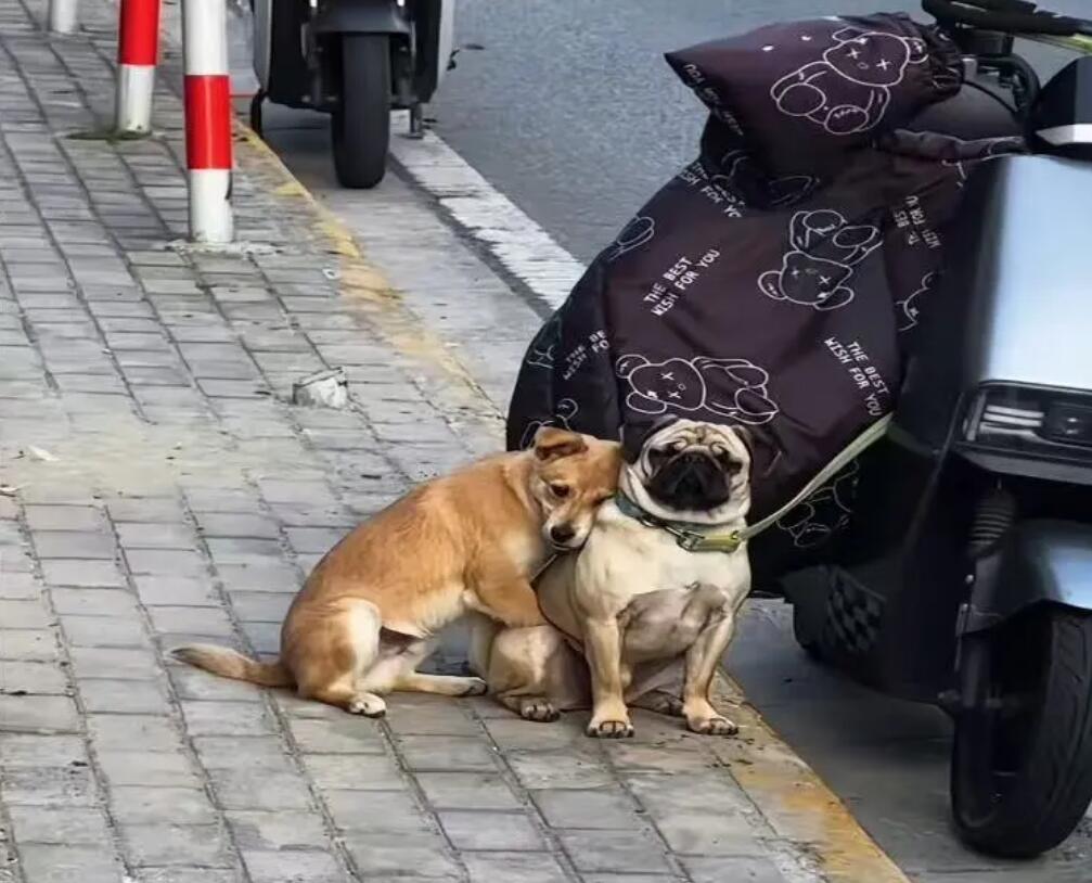 阿珍爱上了阿强.jpg 阿珍爱上了阿强.jpg